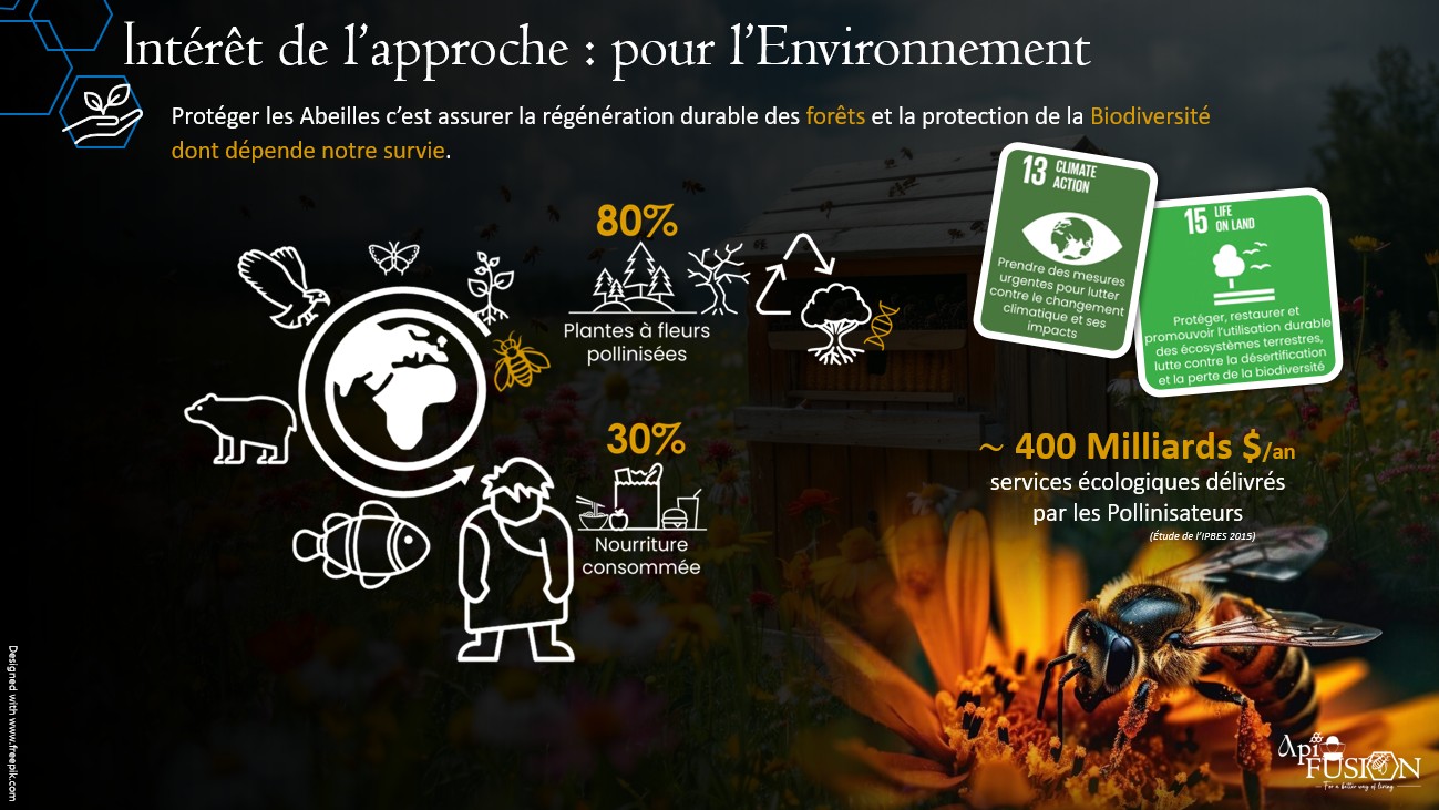 Intérêt pour l'environnement