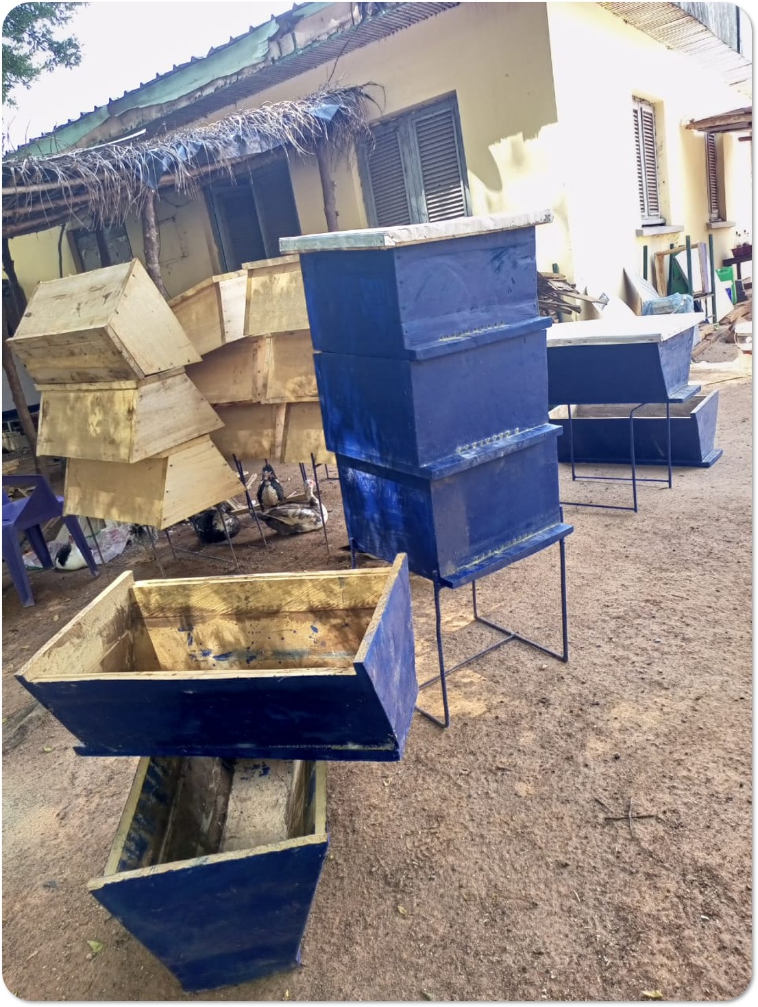 Image3